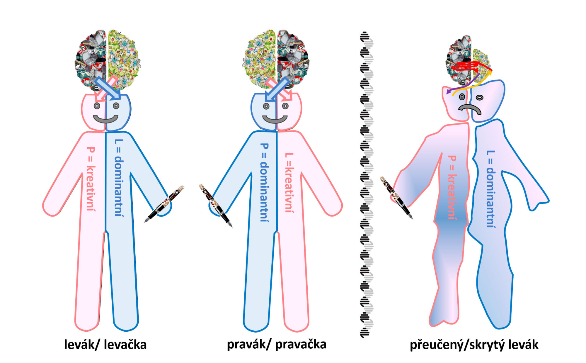 lateralita skryté leváctví